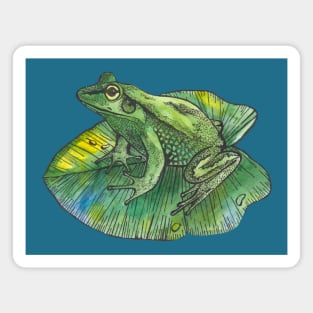 Green frog on green leaf Magnet